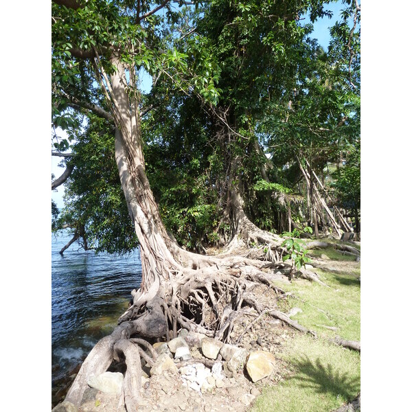 照片 泰国(Thailand) 象岛(Ko Chang) 2011-12 179