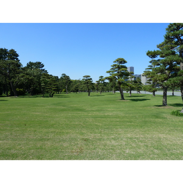 照片 日本(Japan) 东京(Tokyo) 皇居(Imperial Palace) 2010-06 49