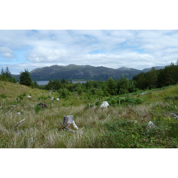 照片 英国(United Kingdom) 苏格兰(Scotland) 马里湖(Loch Maree) 2011-07 31