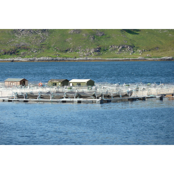 照片 英国(United Kingdom) 苏格兰(Scotland) 萨伦(Salen) 2011-07 89