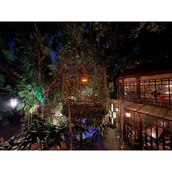 照片 泰国(Thailand) 清迈(Chiang Mai) 2024-12 77
