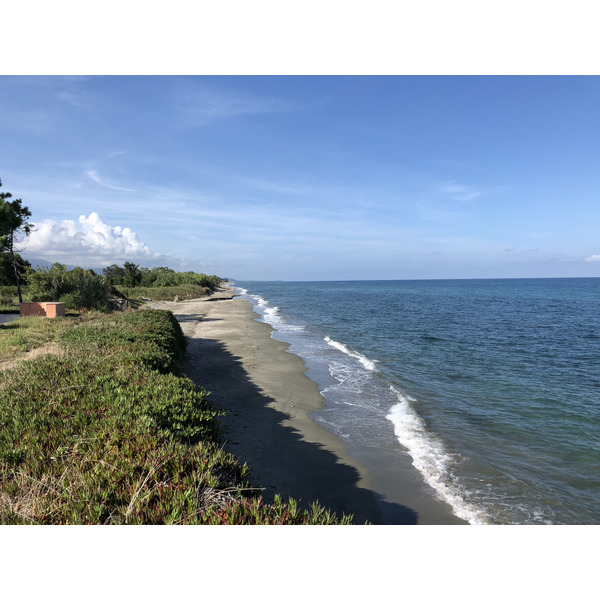 照片 法国(France) 科西嘉岛(Corsica) 圣朱利亚诺(San Giuliano) 2018-09 20