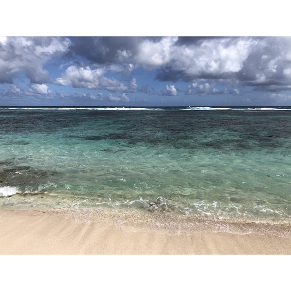 照片 瓜德罗普(Guadeloupe) 萨利讷大湾海滩(Grande Anse des Salines Beach) 2021-02 9