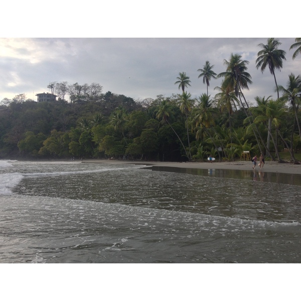 照片 哥斯达黎加(Costa Rica) 曼努埃尔安东尼奥(Manuel Antonio) 2015-03 233