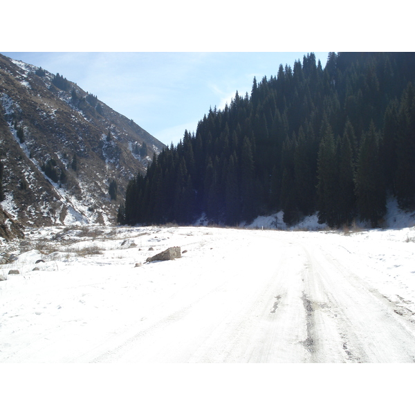 照片 哈萨克斯坦(Kazakhstan) 伊犁阿拉套国家公园(Ile Alatau National Park) 2007-03 6
