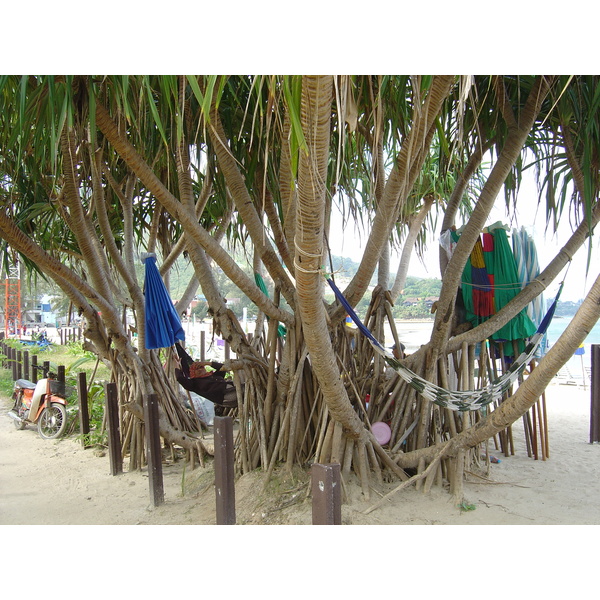 照片 泰国(Thailand) 普吉岛(Phuket) 卡马拉海滩(Kamala Beach) 2005-12 65