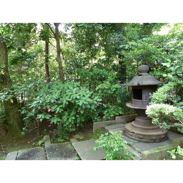 照片 日本(Japan) 东京(Tokyo) 根津美术馆(Nezu Museum) 2010-06 4