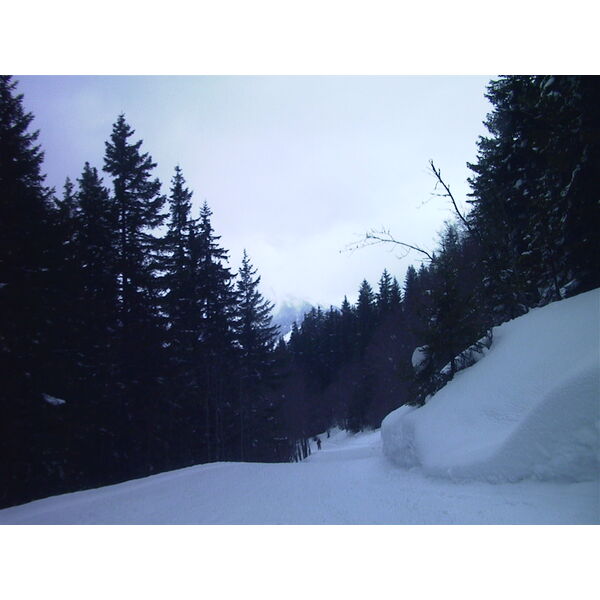 照片 瑞士(Switzerland) 格林德瓦(Grindelwald) 1999-04 2