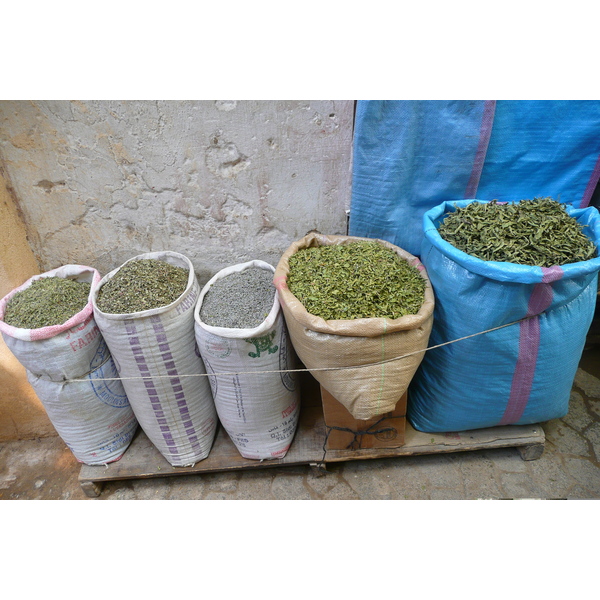 照片 摩洛哥(Morocco) 非斯(Fes) 2008-07 49