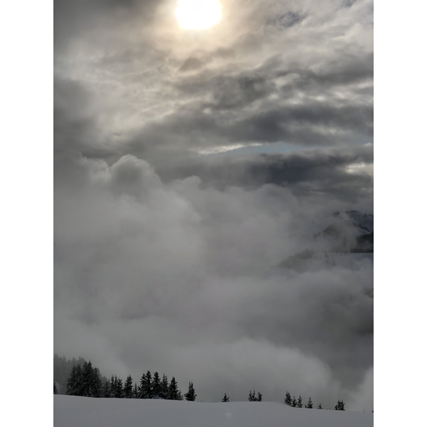 照片 法国(France) 阿尔利河畔普拉(Praz sur Arly) 2019-12 119