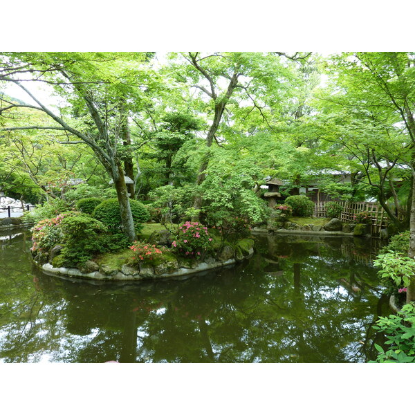 照片 日本(Japan) 京都(Kyoto) 清水寺(Kiyomizu Dera Temple) 2010-06 68