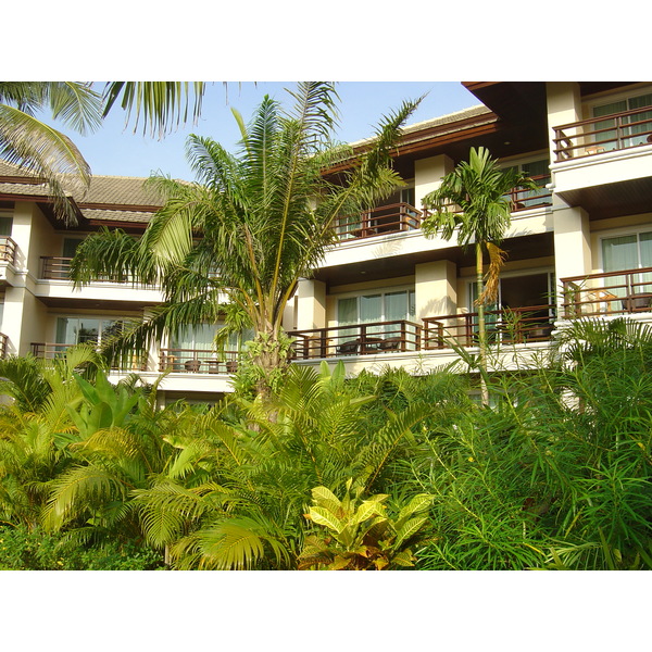 照片 泰国(Thailand) 考拉(Khao Lak) 考拉艾美酒店(Meridien Khao Lak Hotel) 2005-12 335