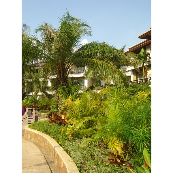照片 泰国(Thailand) 考拉(Khao Lak) 考拉艾美酒店(Meridien Khao Lak Hotel) 2005-12 291