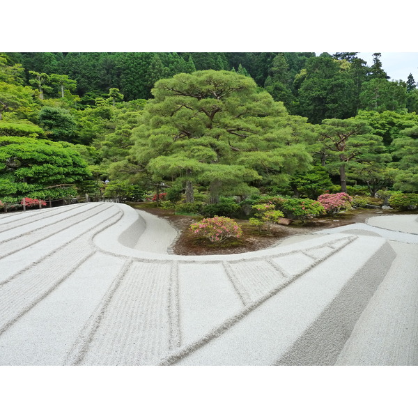 照片 日本(Japan) 京都(Kyoto) 银阁寺(Ginkakuji Temple(Silver Pavilion)) 2010-06 49
