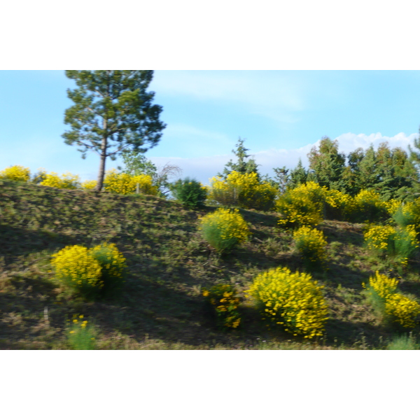 照片 法国(France) 蔚蓝海岸(French Riviera) A57高速公路(A57 highway) 2008-05 39