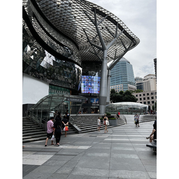 照片 新加坡(Singapore) 乌节路(Orchard road) 2023-01 60