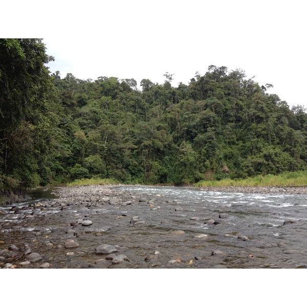 照片 哥斯达黎加(Costa Rica) 帕夸雷河(Pacuare River) 2015-03 166