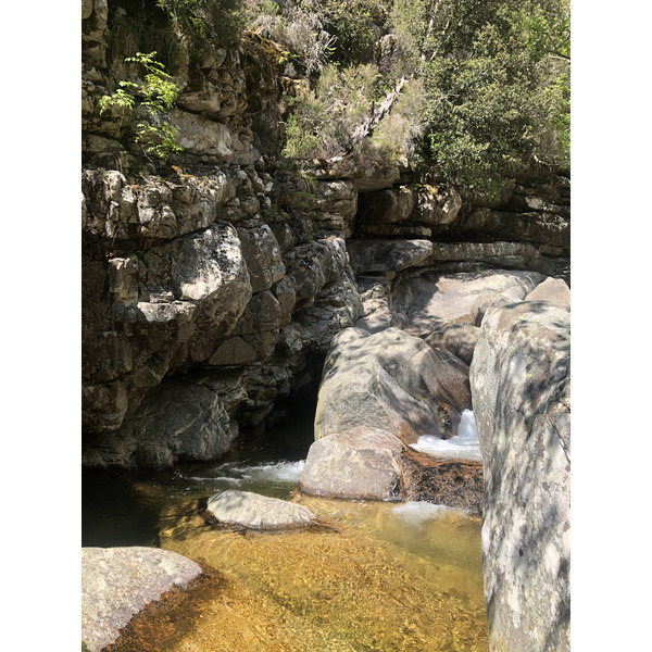 照片 法国(France) 科西嘉岛(Corsica) 艾托内森林(Aitone Forest) 2021-06 7