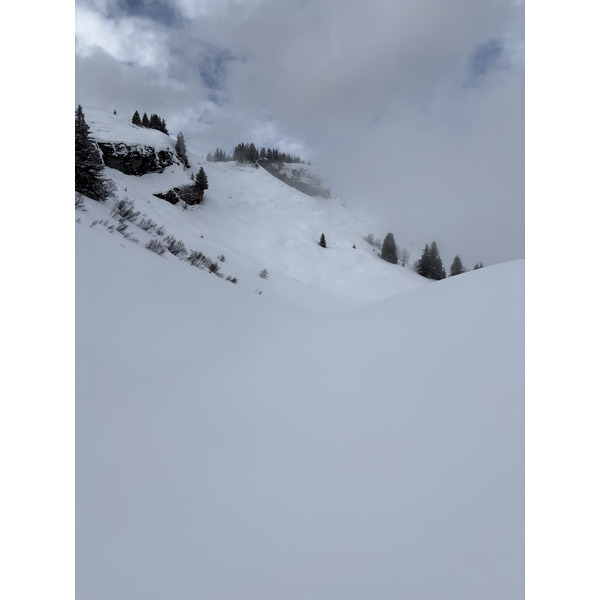 照片 法国(France) 阿尔利河畔普拉(Praz sur Arly) 2025-02 90