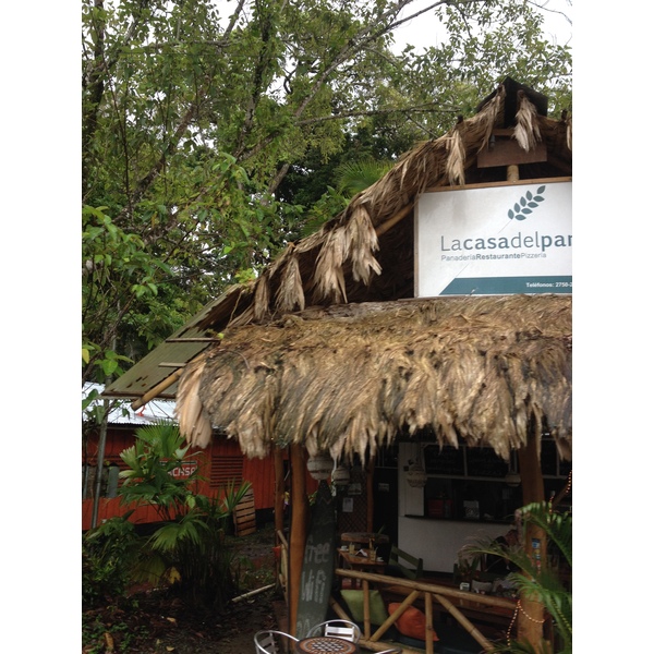 照片 哥斯达黎加(Costa Rica) 塔拉曼卡旧港(Puerto Viejo de Talamanca) 2015-03 66