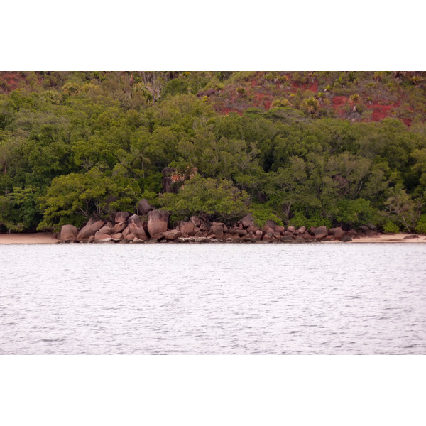 照片 塞舌尔(Seychelles) 居里厄斯岛(Curieuse) 2011-10 49