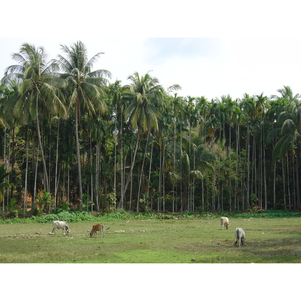 照片 缅甸(Myanmar) 茂马干北部(Maungmagan North) 2005-01 62