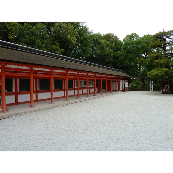 照片 日本(Japan) 京都(Kyoto) 下鸭神社(Kamomioya Shrine(Shimogamo Shrine)) 2010-06 20