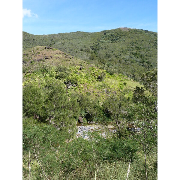 照片 新喀里多尼亚(New Caledonia) 通图塔至蒂奥公路(Tontouta to Thio road) 2010-05 28
