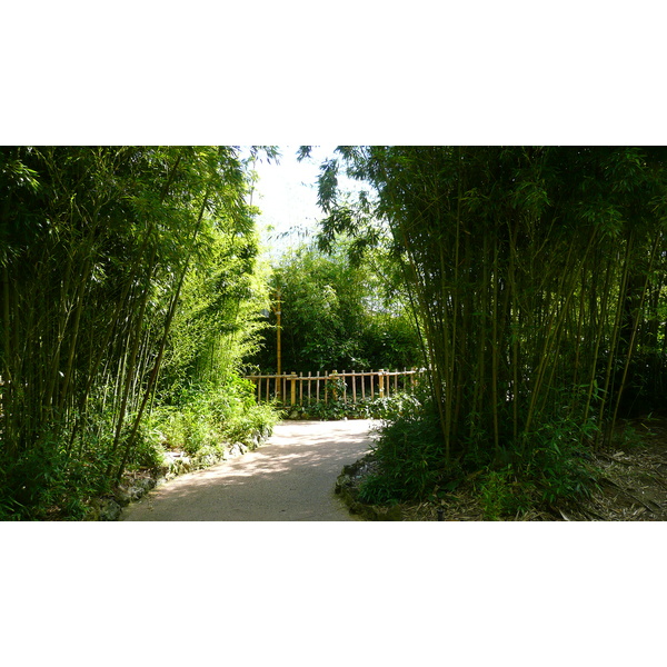 照片 法国(France) 巴黎迪士尼乐园(Disneyland Paris) 探险世界(Adventureland) 2007-07 88