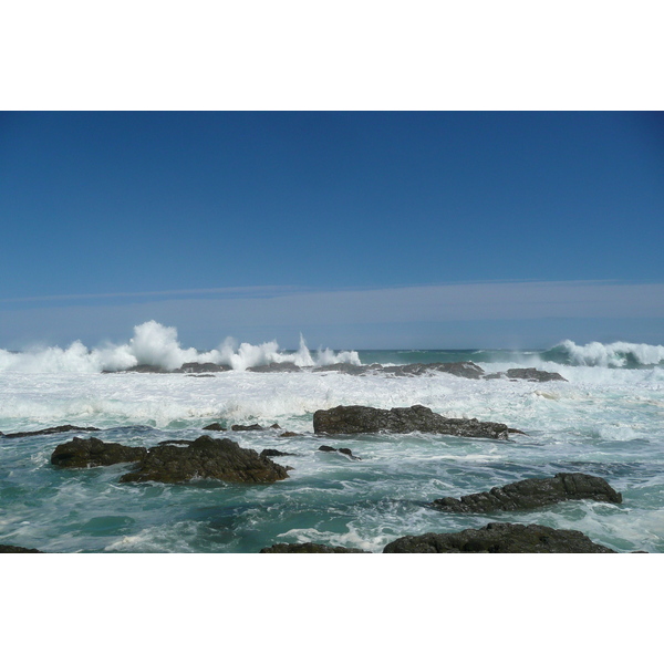 照片 南非(South Africa) 齐齐卡马国家公园(Tsitsikamma National Park) 2008-09 204