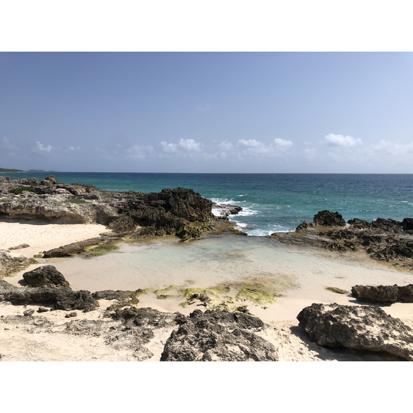 照片 瓜德罗普(Guadeloupe) 城堡角(Castle Point) 2021-02 328