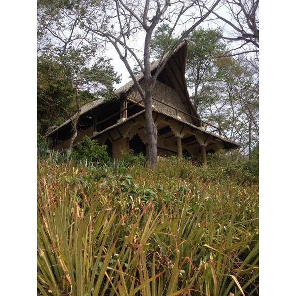 照片 哥斯达黎加(Costa Rica) 蒙特苏马(Montezuma) 2015-03 7