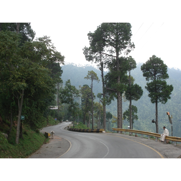 照片 巴基斯坦(Pakistan) 伊斯兰堡至穆里公路(Islamabad to Murree road) 2006-08 16