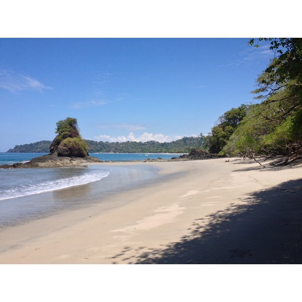 照片 哥斯达黎加(Costa Rica) 曼努埃尔安东尼奥(Manuel Antonio) 2015-03 157