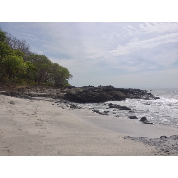 照片 哥斯达黎加(Costa Rica) 蒙特苏马(Montezuma) 2015-03 116