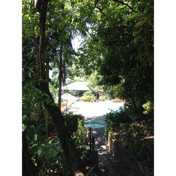 照片 哥斯达黎加(Costa Rica) 曼努埃尔安东尼奥(Manuel Antonio) 2015-03 32