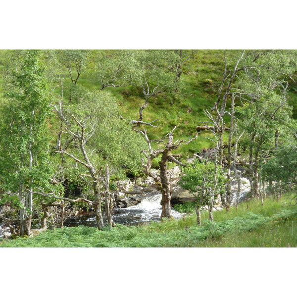 照片 英国(United Kingdom) 韦斯特罗斯(Wester Ross) 2011-07 151