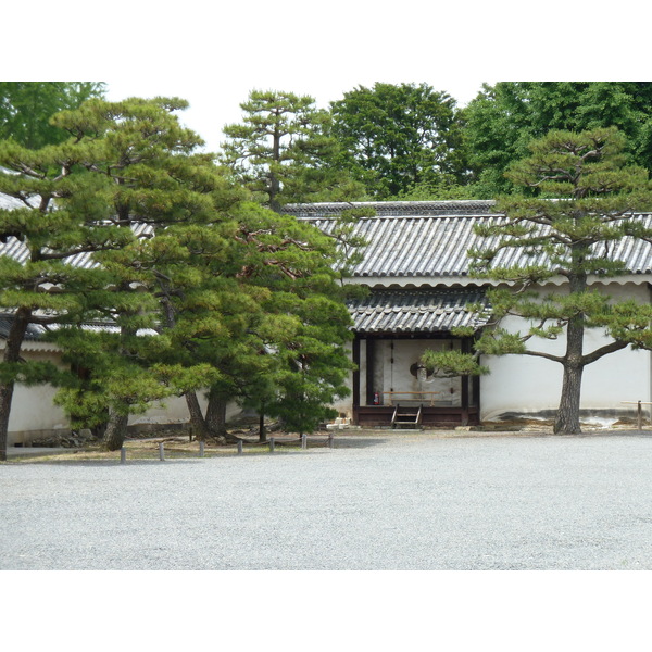 照片 日本(Japan) 京都(Kyoto) 二条城(Nijo Castle) 2010-06 96