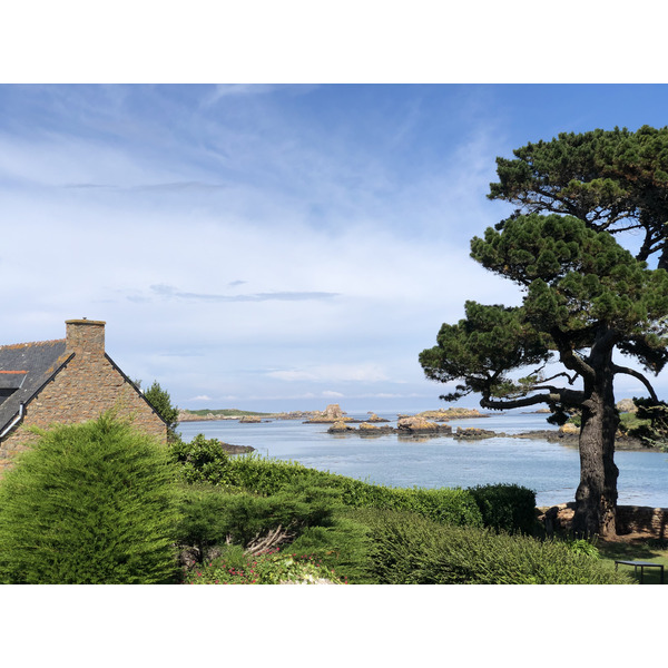照片 法国(France) 布雷阿岛(Brehat Island) 2020-06 164