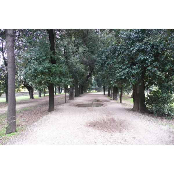 照片 意大利(Italy) 罗马(Rome) 多里亚·潘菲利别墅公园(Villa Doria Pamphili) 2007-11 29