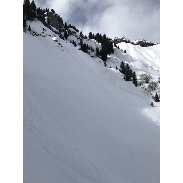 照片 法国(France) 梅杰夫(Megeve) 2019-03 33