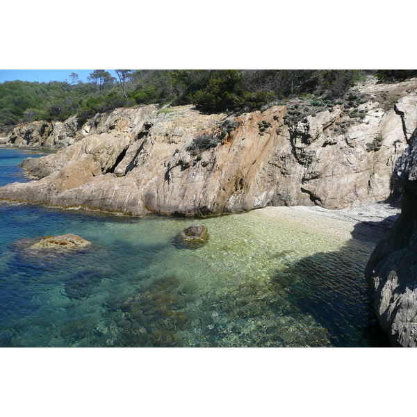 照片 法国(France) 波克罗勒岛(Porquerolles Island) 勒坎角(Pointe du Lequin) 2008-05 56