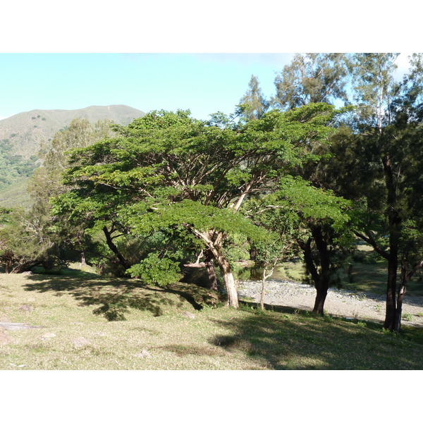 照片 新喀里多尼亚(New Caledonia) 卡纳拉至拉福阿公路(Canala to La Foa road) 2010-05 60