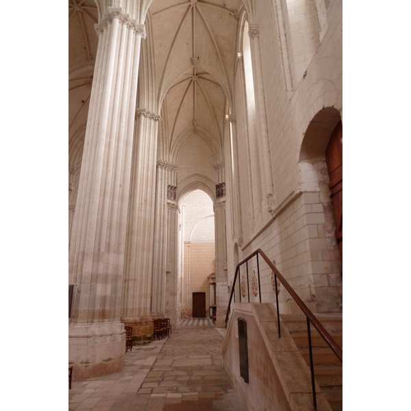 照片 法国(France) 康德(Candes) 2011-05 24
