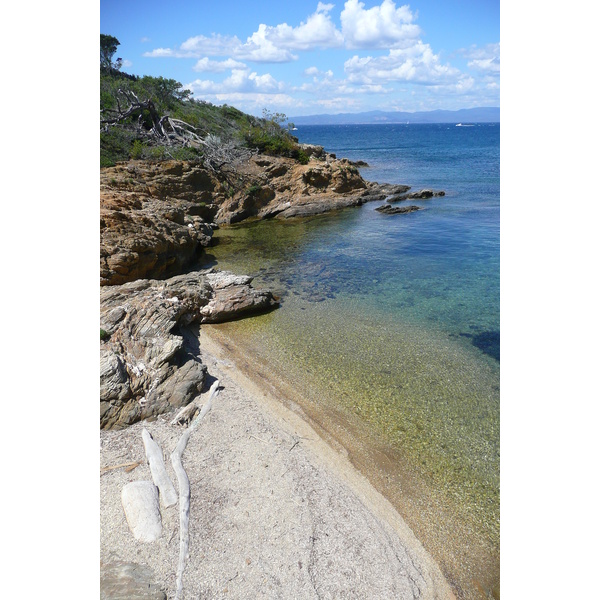 照片 法国(France) 波克罗勒岛(Porquerolles Island) 勒坎角(Pointe du Lequin) 2008-05 63