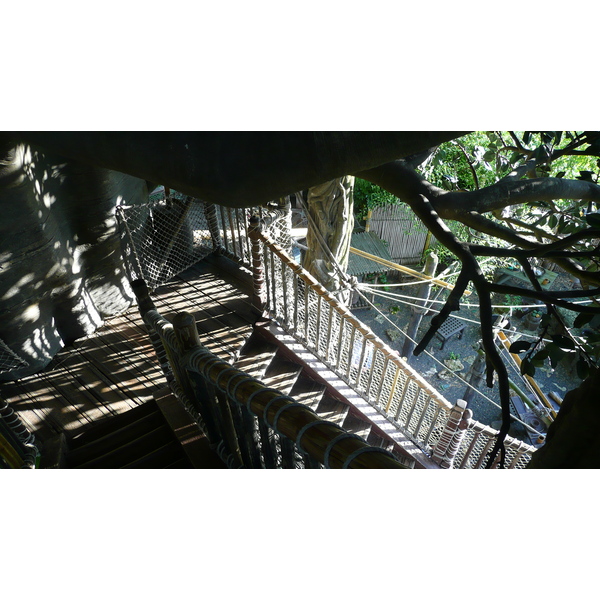 照片 法国(France) 巴黎迪士尼乐园(Disneyland Paris) 鲁滨逊树屋(La Cabane des Robinson) 2007-07 25