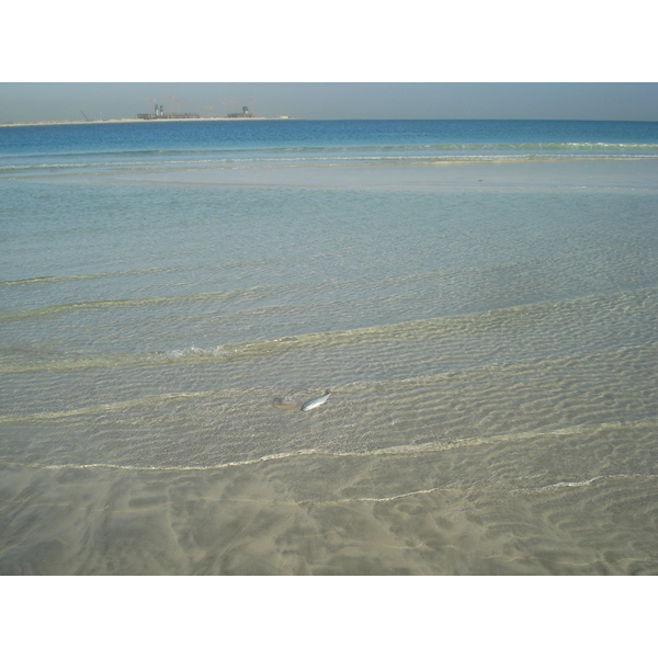 照片 阿联酋(United Arab Emirates) 迪拜(Dubai) 朱美拉海滩(Jumeirah Beach) 2007-03 2