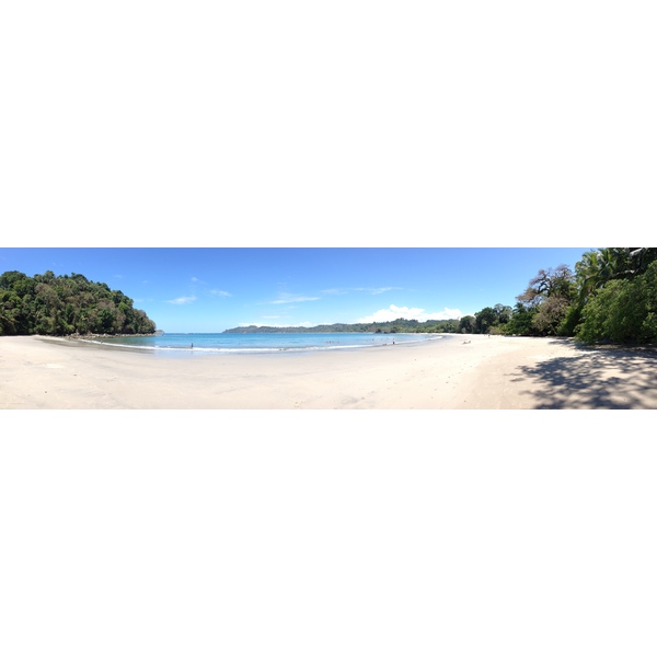 照片 哥斯达黎加(Costa Rica) 曼努埃尔安东尼奥(Manuel Antonio) 2015-03 392
