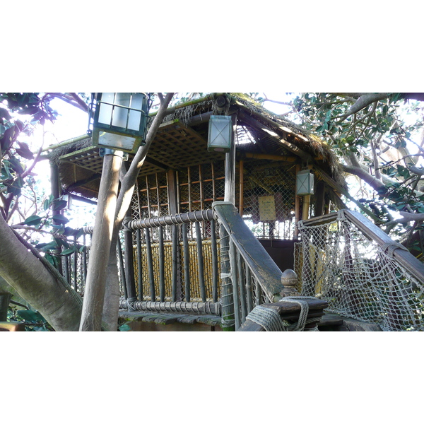 照片 法国(France) 巴黎迪士尼乐园(Disneyland Paris) 鲁滨逊树屋(La Cabane des Robinson) 2007-07 20
