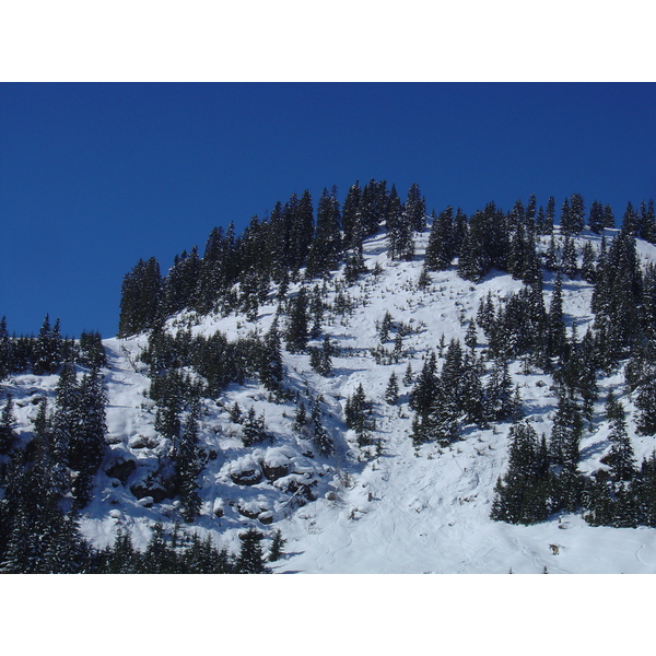 照片 奥地利(Austria) 基茨比厄尔(Kitzbuhel) 滑雪(Ski) 2005-03 64